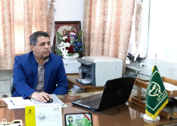 سهمیه خوراک دام دامداری های سنتی از شنبه توزیع می شود