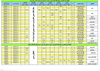 برنامه کلینیک تخصصی بیمارستانهای شهید دکتر چمران و حضرت رسول (ص) فردوس